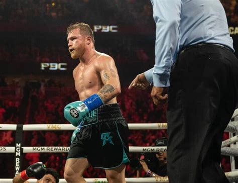 IBF Orders Purse Bids For Canelo Vs. Scull | Boxing News