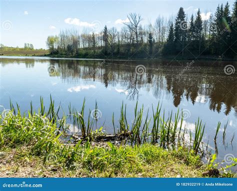 Peaceful Spring Landscape With A Clear Lake And Beautiful Reflections