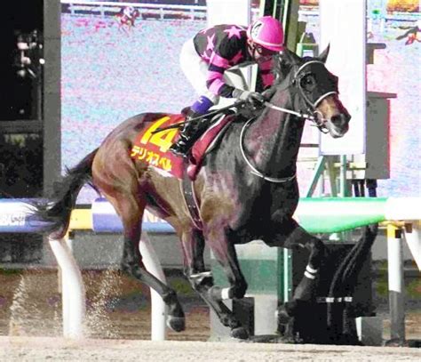 【クイーン賞】3歳馬グランブリッジは2馬身差の2着 福永祐一騎手「勝った馬が強かった」 競馬ニュース