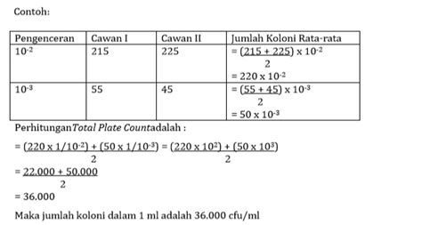 Pemeriksaan Kualitas Air Dan Makanan Dengan Metode Tpc Total Plate