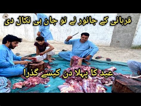 Eid Ka Pehla Din Kaise Guzra Qurbani Ka Goshat Banaya Dosto Se Mulaqat