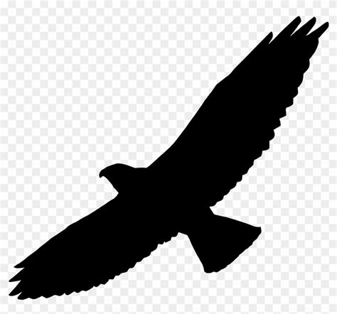 Free Vector Graphics On Pixabay Hawk Silhouette Free Transparent