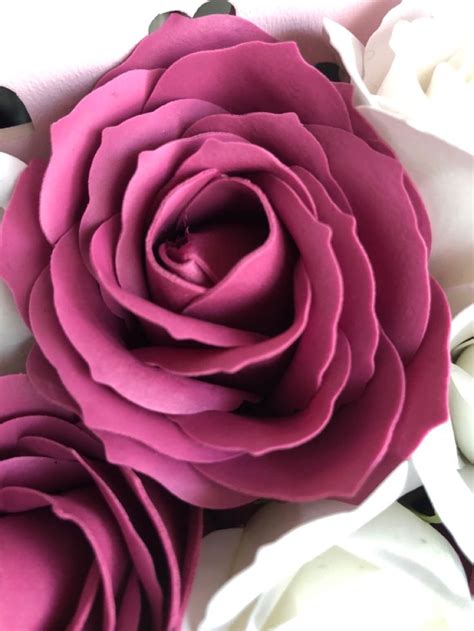 Розы из мыла | Rose, Flowers, Plants
