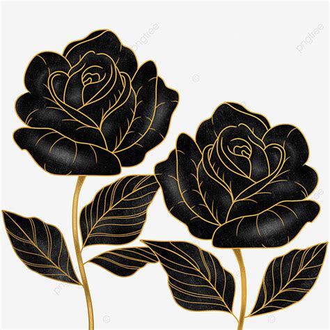 Rosas De Flores Negras Y Doradas PNG Dibujos Flor Negra Rosas Negras