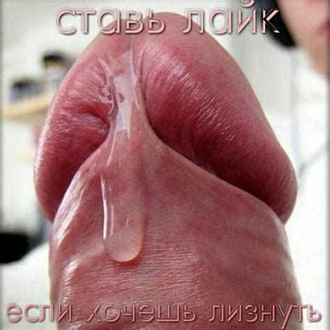 Sissy Motivatop Capture Rus Porn Pictures XXX Photos Sex Images PICTOA