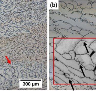 Representative Optical Micrographs Of As Received Ti 6Al 4V At A Low