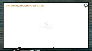 Principles Of Inheritance And Variation Environmental Determination Of Sex Session 8
