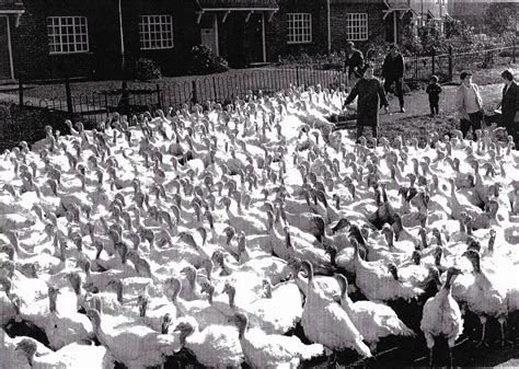 Christmas at Great Linford - GREAT LINFORD HISTORY