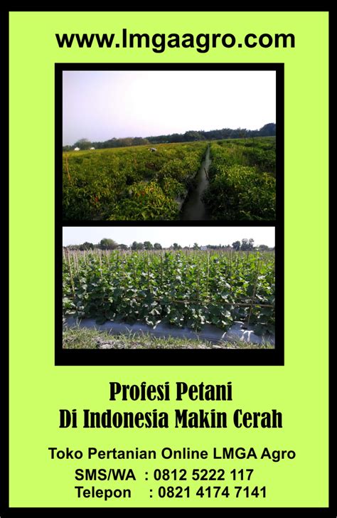 Petani Dan Sawah Gambar Profesi Petani