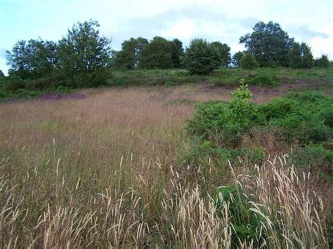 Gentleshaw Hill © Geoff Pick Geograph Britain And Ireland