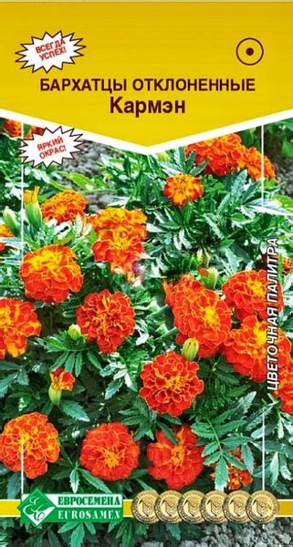 Бархатцы Евросемена Растения для сада - купить по выгодным ценам в ...