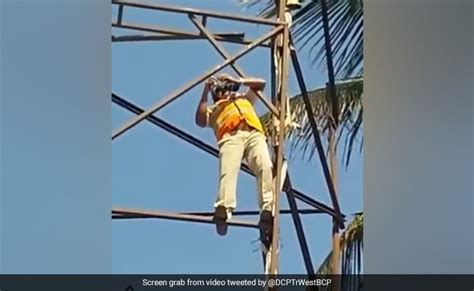 Watch Bengaluru Traffic Cop Climbs Hoarding To Save A Pigeon Internet