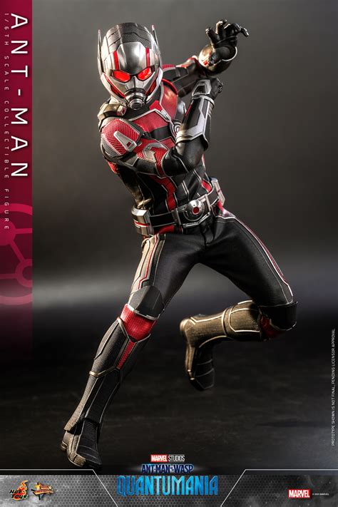 Hot Toys蟻俠與黃蜂女 量子狂熱 Ant Man 蟻俠 1 6比例珍藏人偶 Toys Zone D 玩具兄弟 Figures Price List Reviews
