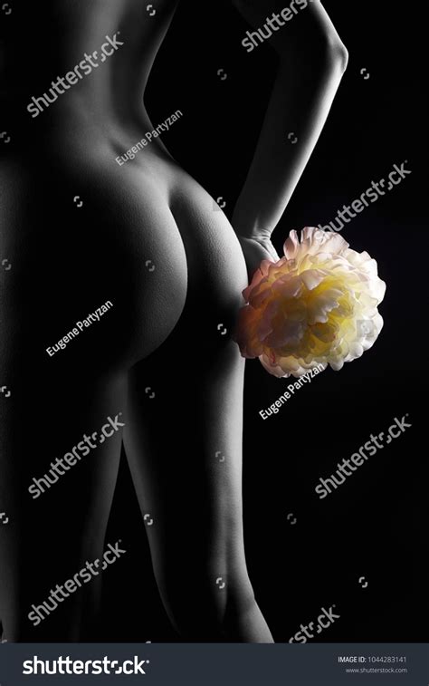 Nude Girl Flower Black White Woman Stock Photo 1044283141 Shutterstock
