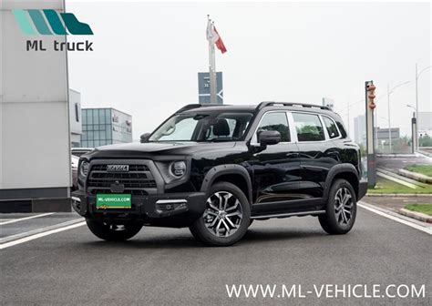 중국 맞춤형 HAVAL DARGO - 도매 HAVAL DARGO 중국산