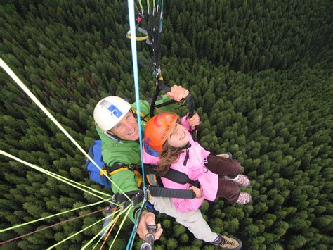 Treetops