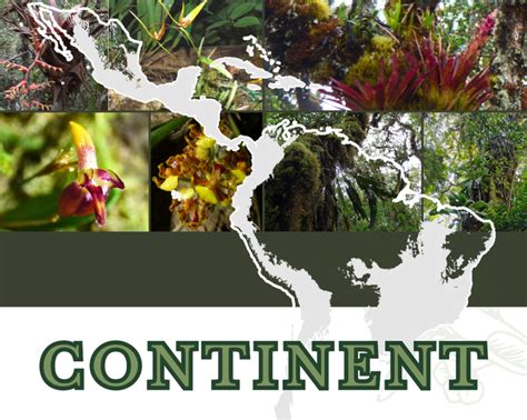 Continent - Forschung - AG Biodiversität der Pflanzen - Prof. Dr ...