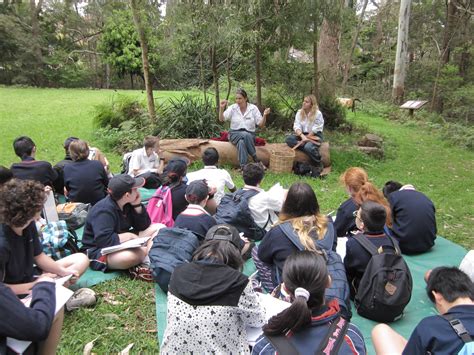 Ferndale Park Draft Reserve Action Plan Have Your Say Willoughby