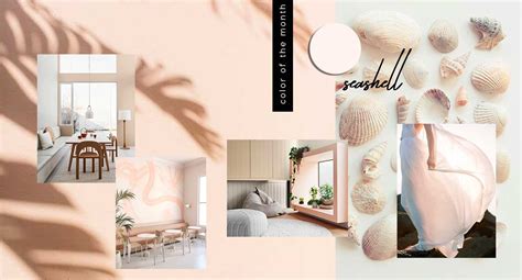 COLOR OF THE MONTH Nude Color Trend With Seashell White Part ITALIANBARK