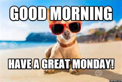 30 Best Memes To Start Monday The Right Way - SayingImages.com