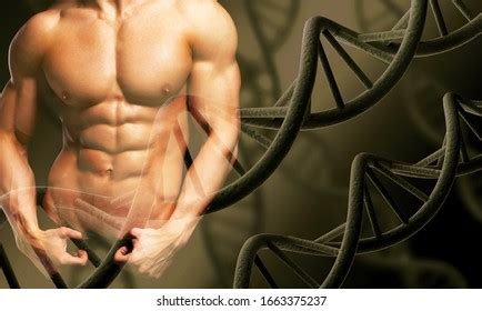 Naked Dna Images Stock Photos And Vectors Shutterstock