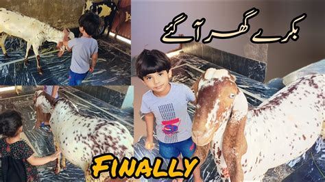 Finally Bakry Ghr Aa Gay Bachy Boht Khus Huwy Youtube