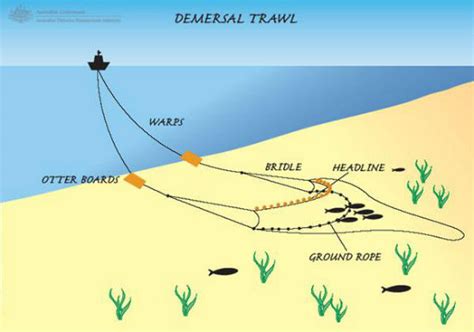 Alat Tangkap Trawl Mengancam Sumber Daya Laut