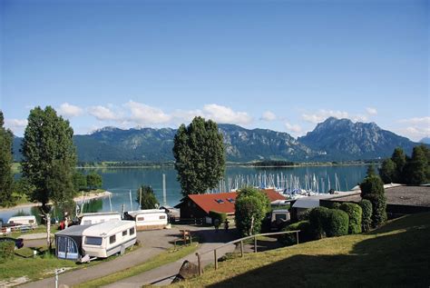 Probe Traube Zeigen Camping Forggensee Mit Hund Lieferung Ewig Unabh Ngig