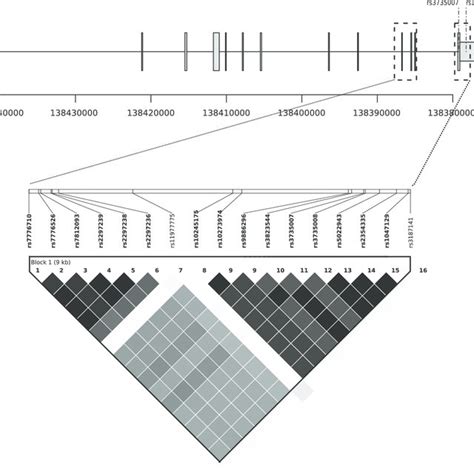Schematic diagram of the exon–intron structure of ZC3HAV1. Exons are ...