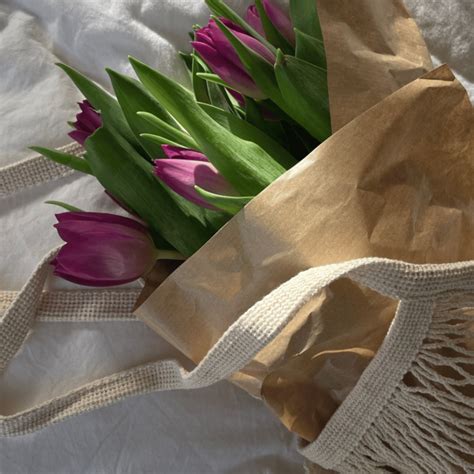 Life Changing Books That Will Heal You Boss Babe Chronicles