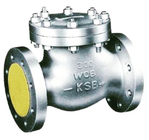 Ksb Make Swing Check Valve Unique Valves