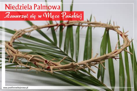 Niedziela Palmowa M Ki Pa Skiej Rzymskokatolicka Parafia Pw W