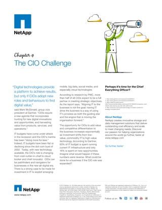 The CIO Challenge PDF