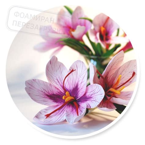 Цветы флешмоба - Гепатика азиатская, Глициния, Спирея кантонская ...