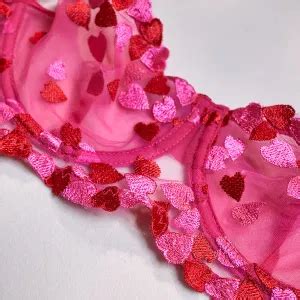 Wholesale Sexy Perspective Bikini Ermbroidery Bra And T Back Panty Mesh Lingerie For Women