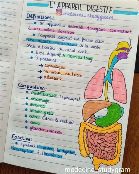 Épinglé sur Médecine