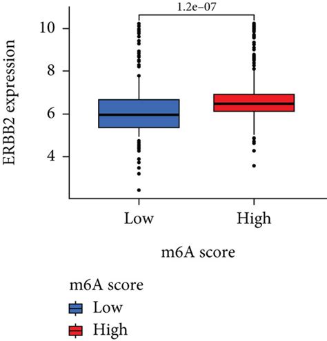 Associations Of The Tumor Microenvironment With Different M Asig Groups