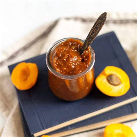 Fresh Apricot Bbq Sauce Recipe Peel With Zeal