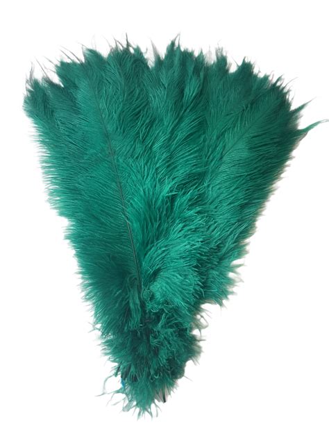 Ostrich Feather Centerpiece Rentals Buy Ostrich Feathers