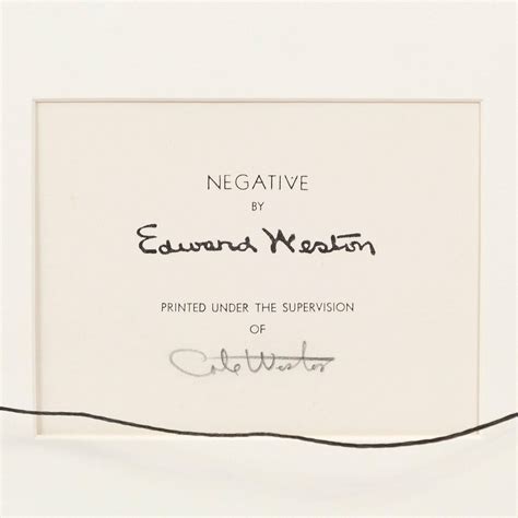 Edward Weston Nude For Sale At StDibs