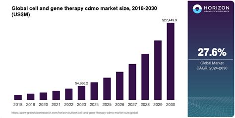 Cell And Gene Therapy Cdmo Market Size Outlook