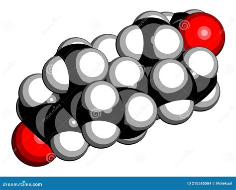 Progesterone Female Sex Hormone Molecule Plays Role In Menstrual Cycle And Pregnancy D