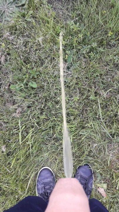 Je Pisse Free Gay Porn Video C XHamster