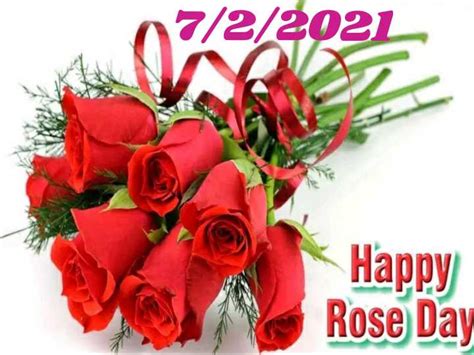 Happy Rose Day 🌹🌹 • Sharechat Photos And Videos