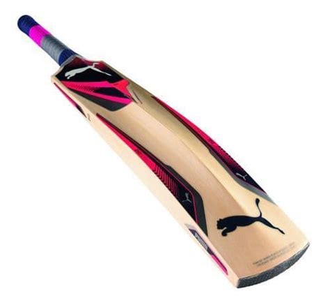 Puma Evospeed 5 Gt Junior Cricket Bat