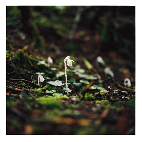 Mytrip reviews are warning travelers about a common booking mistake 17