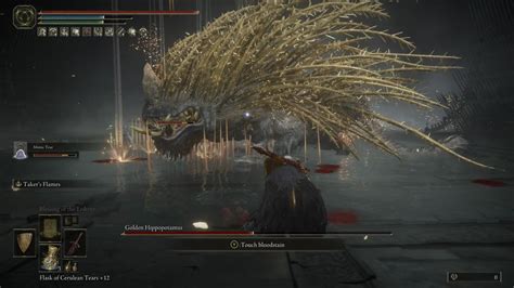 How To Find And Beat Golden Hippopotamus In Elden Ring - Gamepur