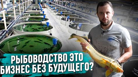 БИЗНЕС НА РЫБЕ. Всё Настолько ПЕЧАЛЬНО Как ВСЕ ГОВОРЯТ? - YouTube