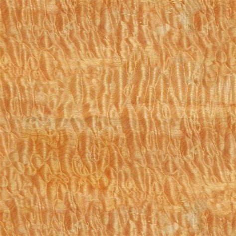 Curly Maple Woodgrain 23 – Pattern Crew