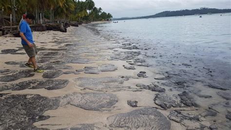 ONG mobiliza voluntários para ajudar na limpeza de praias no NE